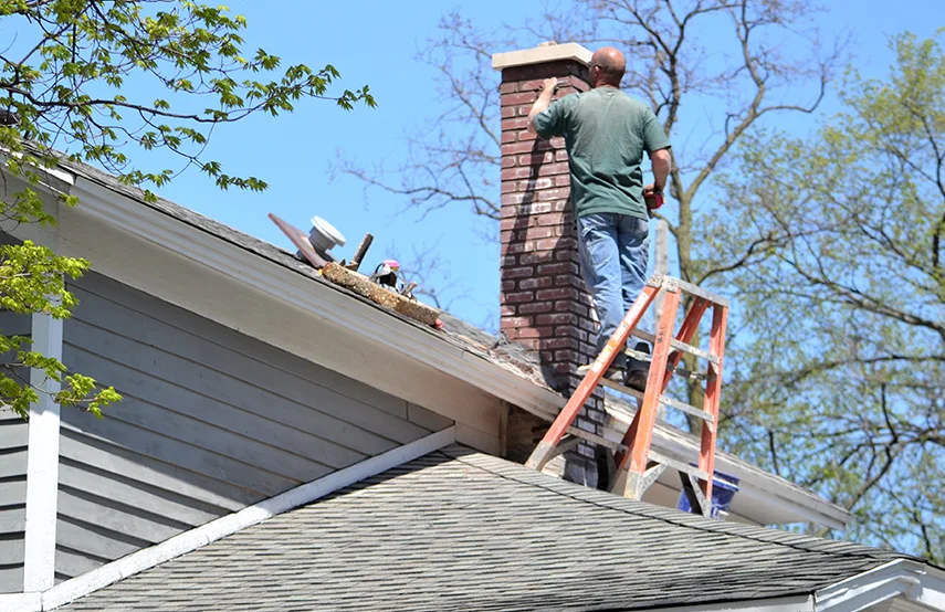 Chimney & Fireplace Inspections Services in Columbia Heights, MN